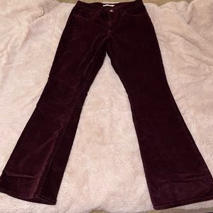 Levis 725 High Rise Boot Cut Pants - Maroon